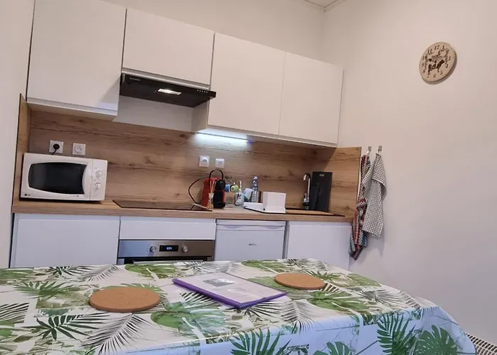 Appartement indépendant avec services de maison d'hôtes, linge et ménage inclus - Accès parc et plage privés - Table d'hôtes some days only Pensión La Salvetat-sur-Agout
