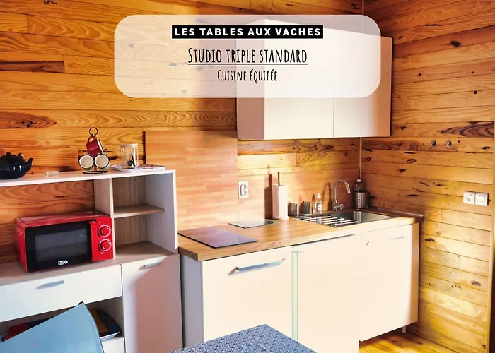 Pensión Appartement indépendant avec services de maison d'hôtes, linge et ménage inclus - Accès parc et plage privés - Table d'hôtes some days only La Salvetat-sur-Agout