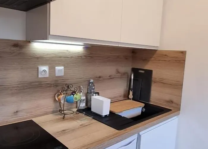 Appartement indépendant avec services de maison d'hôtes, linge et ménage inclus - Accès parc et plage privés - Table d'hôtes some days only 3* La Salvetat-sur-Agout