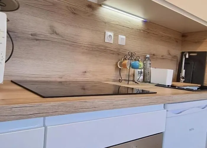 Appartement indépendant avec services de maison d'hôtes, linge et ménage inclus - Accès parc et plage privés - Table d'hôtes some days only La Salvetat-sur-Agout